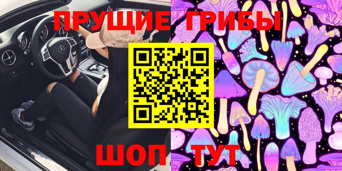 Галлюциногенные грибы Psilocybe  Вход с VPN  Кыштым 